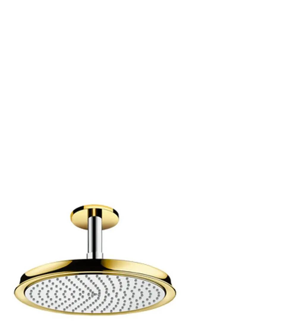 Hansgrohe Kopfbrause mit Deckenanschluss in Chrom und Gold, rundes Design mit Perforation für Wasserauslass.